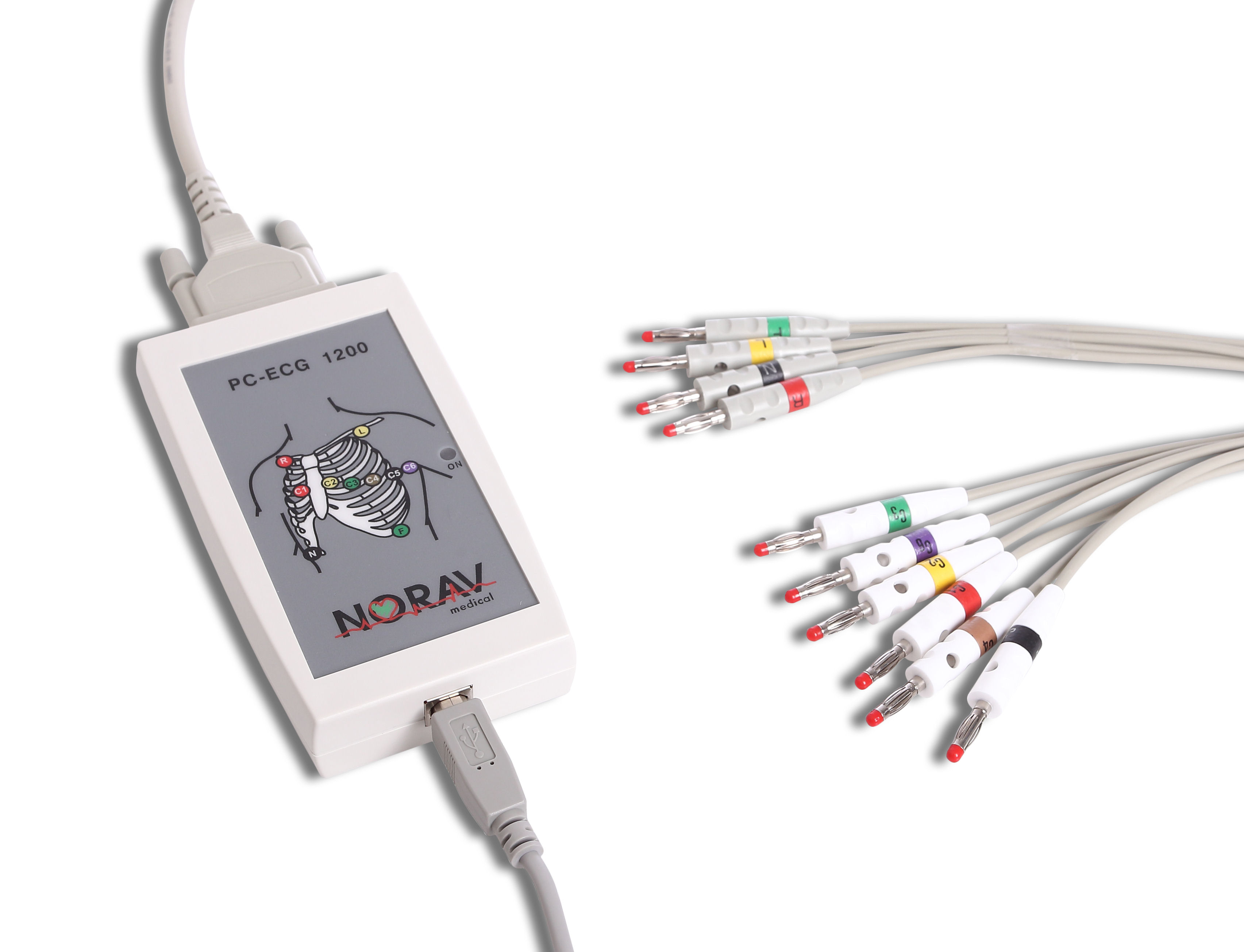 PC-EKG 1200M - Klassisches Digital-EKG