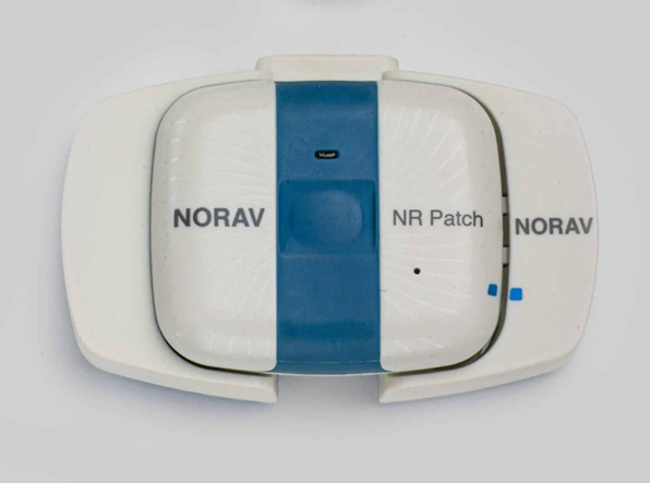 NR-314-P Docking Station